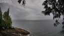 ./images/koeye/fitz-hugh/20250527/fitz-hugh20250527_071510M.jpg