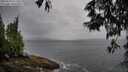 ./images/koeye/fitz-hugh/20250527/fitz-hugh20250527_073510M.jpg