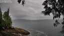 ./images/koeye/fitz-hugh/20250527/fitz-hugh20250527_080509M.jpg