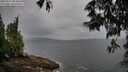 ./images/koeye/fitz-hugh/20250527/fitz-hugh20250527_083010M.jpg