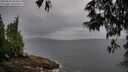 ./images/koeye/fitz-hugh/20250527/fitz-hugh20250527_083508M.jpg
