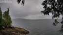./images/koeye/fitz-hugh/20250527/fitz-hugh20250527_084010M.jpg