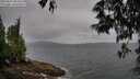 ./images/koeye/fitz-hugh/20250527/fitz-hugh20250527_084511M.jpg