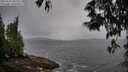 ./images/koeye/fitz-hugh/20250527/fitz-hugh20250527_085510M.jpg