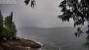./images/koeye/fitz-hugh/20250527/fitz-hugh20250527_090510M.jpg