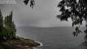 ./images/koeye/fitz-hugh/20250527/fitz-hugh20250527_092509M.jpg