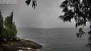 ./images/koeye/fitz-hugh/20250527/fitz-hugh20250527_093011M.jpg