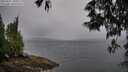 ./images/koeye/fitz-hugh/20250527/fitz-hugh20250527_100012M.jpg