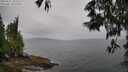 ./images/koeye/fitz-hugh/20250527/fitz-hugh20250527_102510M.jpg