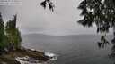 ./images/koeye/fitz-hugh/20250527/fitz-hugh20250527_103011M.jpg