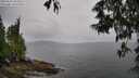./images/koeye/fitz-hugh/20250527/fitz-hugh20250527_103510M.jpg