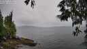 ./images/koeye/fitz-hugh/20250527/fitz-hugh20250527_104010M.jpg
