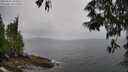 ./images/koeye/fitz-hugh/20250527/fitz-hugh20250527_104508M.jpg