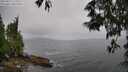 ./images/koeye/fitz-hugh/20250527/fitz-hugh20250527_110510M.jpg