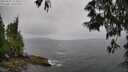 ./images/koeye/fitz-hugh/20250527/fitz-hugh20250527_111010M.jpg