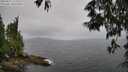 ./images/koeye/fitz-hugh/20250527/fitz-hugh20250527_112510M.jpg