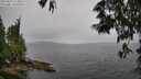 ./images/koeye/fitz-hugh/20250527/fitz-hugh20250527_114010M.jpg