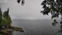 ./images/koeye/fitz-hugh/20250527/fitz-hugh20250527_115010M.jpg