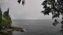 ./images/koeye/fitz-hugh/20250527/fitz-hugh20250527_115507M.jpg