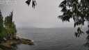 ./images/koeye/fitz-hugh/20250527/fitz-hugh20250527_120012M.jpg