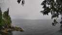 ./images/koeye/fitz-hugh/20250527/fitz-hugh20250527_120509M.jpg