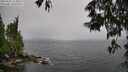 ./images/koeye/fitz-hugh/20250527/fitz-hugh20250527_122011M.jpg