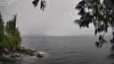 ./images/koeye/fitz-hugh/20250527/fitz-hugh20250527_122510M.jpg