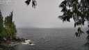 ./images/koeye/fitz-hugh/20250527/fitz-hugh20250527_123510M.jpg