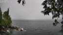 ./images/koeye/fitz-hugh/20250527/fitz-hugh20250527_124511M.jpg