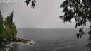 ./images/koeye/fitz-hugh/20250527/fitz-hugh20250527_125510M.jpg