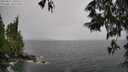 ./images/koeye/fitz-hugh/20250527/fitz-hugh20250527_130510M.jpg