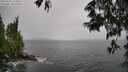 ./images/koeye/fitz-hugh/20250527/fitz-hugh20250527_131010M.jpg