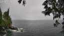 ./images/koeye/fitz-hugh/20250527/fitz-hugh20250527_131510M.jpg