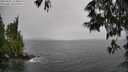 ./images/koeye/fitz-hugh/20250527/fitz-hugh20250527_133009M.jpg