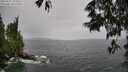 ./images/koeye/fitz-hugh/20250527/fitz-hugh20250527_133509M.jpg