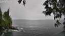 ./images/koeye/fitz-hugh/20250527/fitz-hugh20250527_134010M.jpg