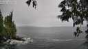 ./images/koeye/fitz-hugh/20250527/fitz-hugh20250527_135010M.jpg