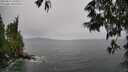 ./images/koeye/fitz-hugh/20250527/fitz-hugh20250527_140011M.jpg