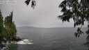 ./images/koeye/fitz-hugh/20250527/fitz-hugh20250527_140510M.jpg