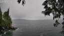 ./images/koeye/fitz-hugh/20250527/fitz-hugh20250527_141507M.jpg