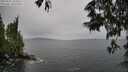 ./images/koeye/fitz-hugh/20250527/fitz-hugh20250527_143510M.jpg