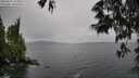 ./images/koeye/fitz-hugh/20250527/fitz-hugh20250527_144009M.jpg