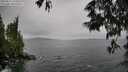 ./images/koeye/fitz-hugh/20250527/fitz-hugh20250527_144511M.jpg
