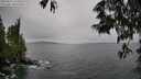 ./images/koeye/fitz-hugh/20250527/fitz-hugh20250527_145011M.jpg
