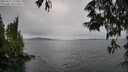 ./images/koeye/fitz-hugh/20250527/fitz-hugh20250527_150510M.jpg