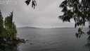 ./images/koeye/fitz-hugh/20250527/fitz-hugh20250527_151508M.jpg