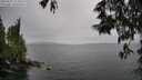 ./images/koeye/fitz-hugh/20250527/fitz-hugh20250527_153510M.jpg
