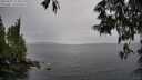 ./images/koeye/fitz-hugh/20250527/fitz-hugh20250527_154010M.jpg