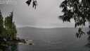 ./images/koeye/fitz-hugh/20250527/fitz-hugh20250527_154510M.jpg