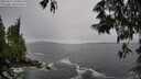 ./images/koeye/fitz-hugh/20250527/fitz-hugh20250527_160010M.jpg